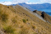 Here's my artsy shot of our hike beauty in new zealand